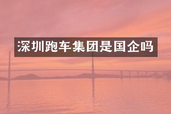 深圳跑车集团是国企吗