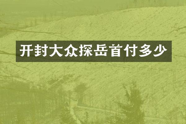 开封大众探岳首付多少