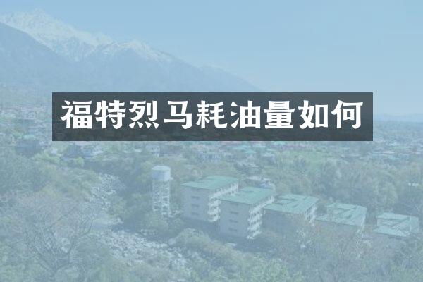 福特烈马耗油量如何