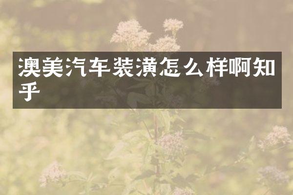 澳美汽车装潢怎么样啊知乎