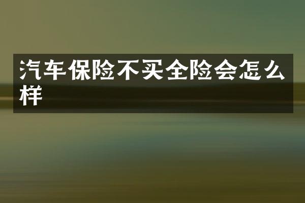 汽车保险不买全险会怎么样