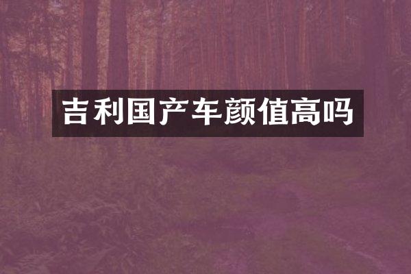 吉利国产车颜值高吗