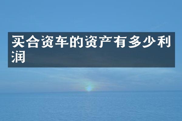 买合资车的资产有多少利润