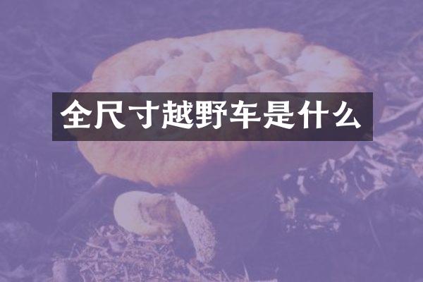 全尺寸越野车是什么