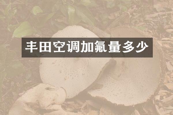 丰田空调加氟量多少