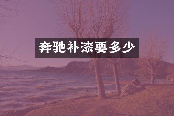 奔驰补漆要多少