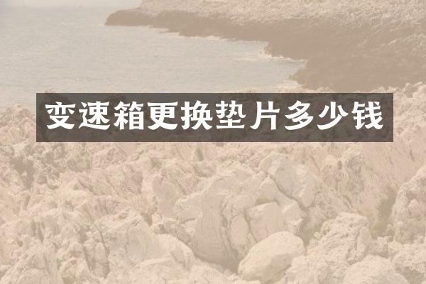 变速箱更换垫片多少钱