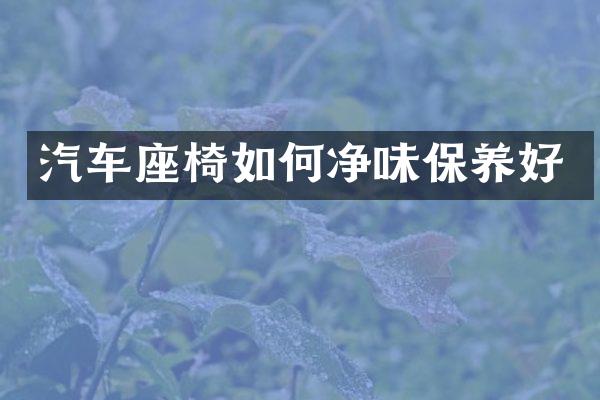 汽车座椅如何净味保养好