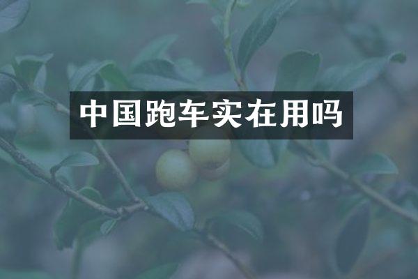 中国跑车实在用吗