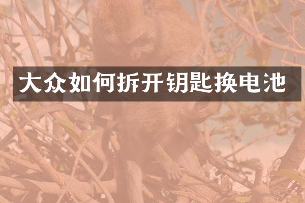 大众如何拆开钥匙换电池