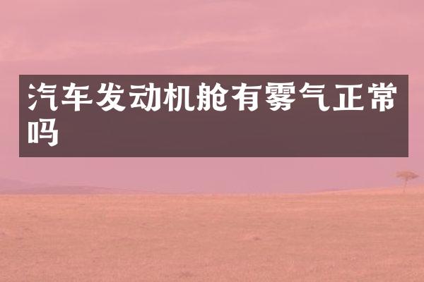 汽车发动机舱有雾气正常吗