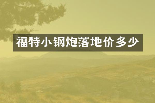 福特小钢炮落地价多少