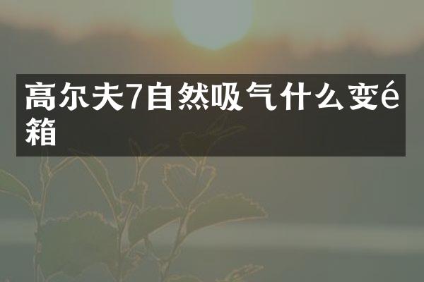 高尔夫7自然吸气什么变速箱