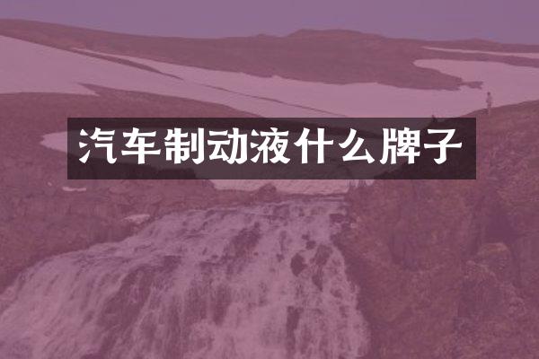 汽车制动液什么牌子