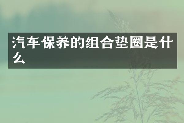 汽车保养的组合垫圈是什么