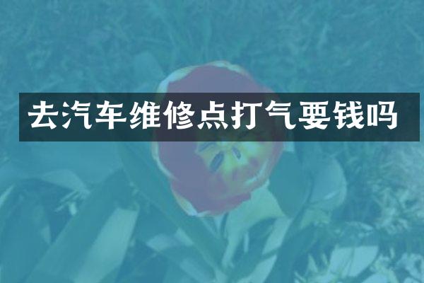 去汽车维修点打气要钱吗