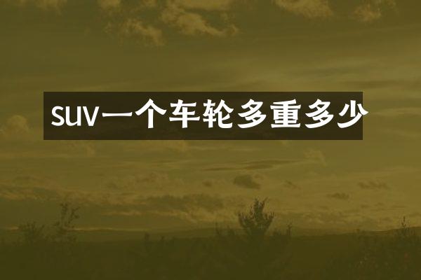 suv一个车轮多重多少