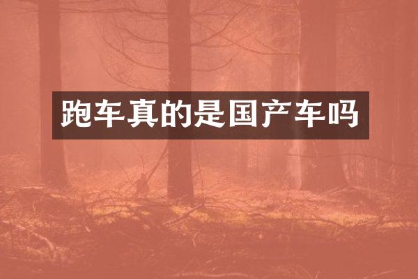 跑车真的是国产车吗