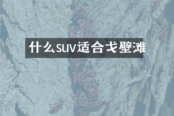 什么suv适合戈壁滩