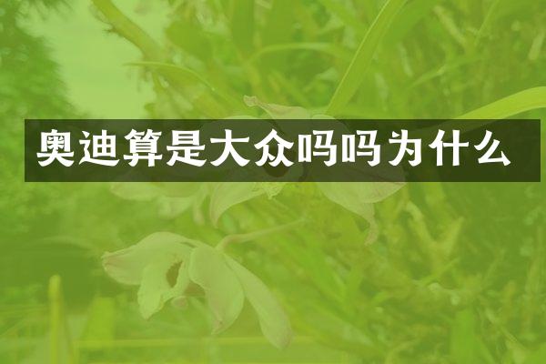 奥迪算是大众吗吗为什么