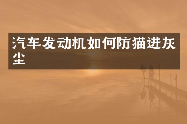 汽车发动机如何防猫进灰尘