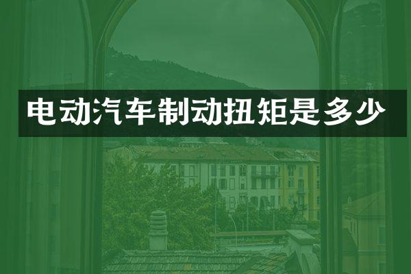 电动汽车制动扭矩是多少