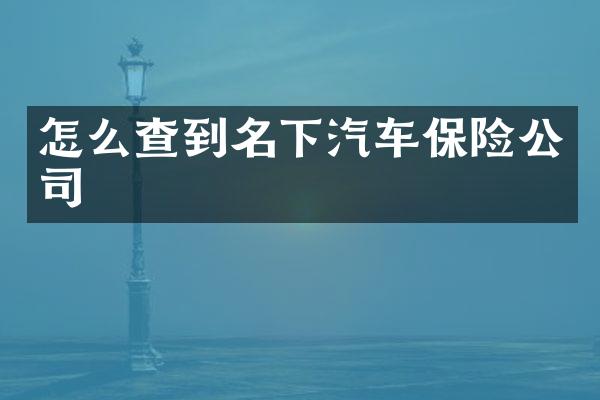 怎么查到名下汽车保险公司