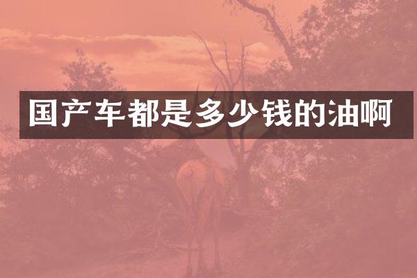 国产车都是多少钱的油啊