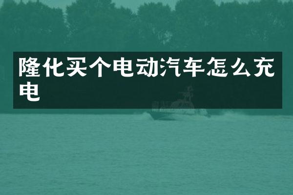 隆化买个电动汽车怎么充电