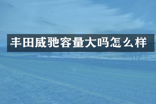 丰田威驰容量大吗怎么样