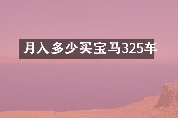 月入多少买宝马325车