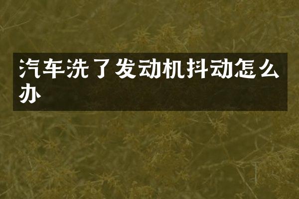 汽车洗了发动机抖动怎么办