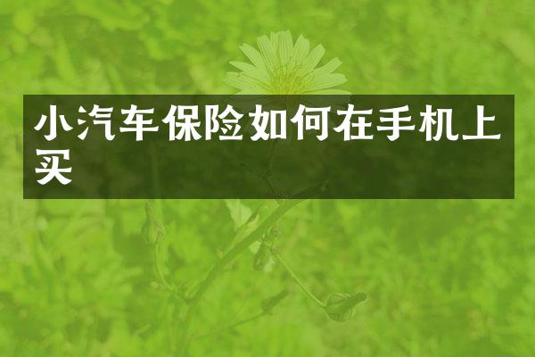 小汽车保险如何在手机上买
