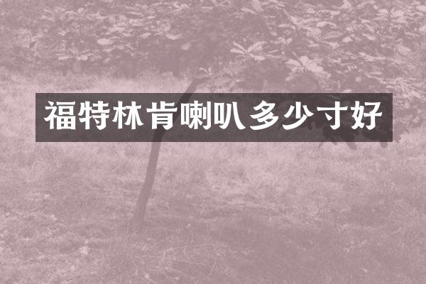 福特林肯喇叭多少寸好