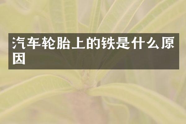 汽车轮胎上的铁是什么原因