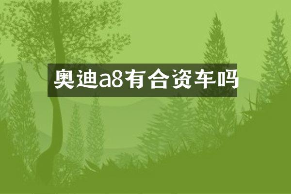 奥迪a8有合资车吗