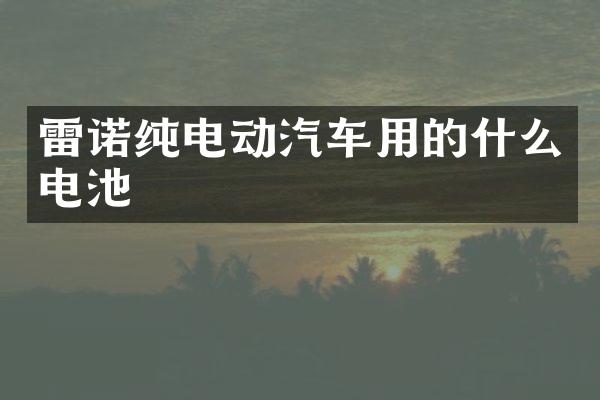 雷诺纯电动汽车用的什么电池