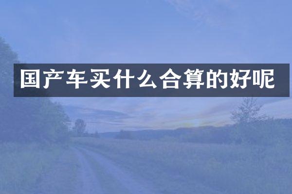 国产车买什么合算的好呢