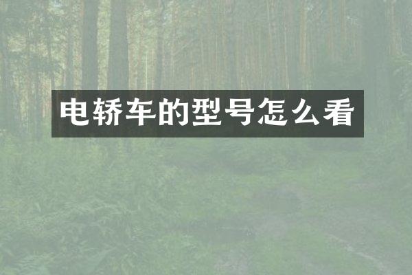 电轿车的型号怎么看