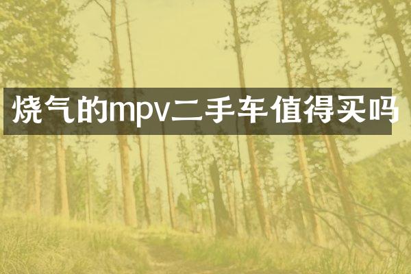 烧气的mpv二手车值得买吗