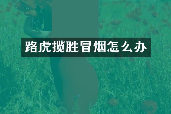 路虎揽胜冒烟怎么办