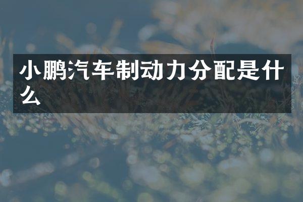 小鹏汽车制动力分配是什么