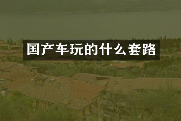 国产车玩的什么套路