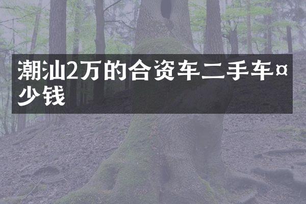 潮汕2万的合资车二手车多少钱