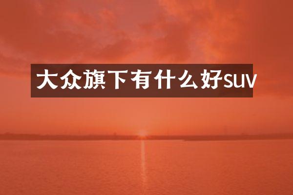 大众旗下有什么好suv