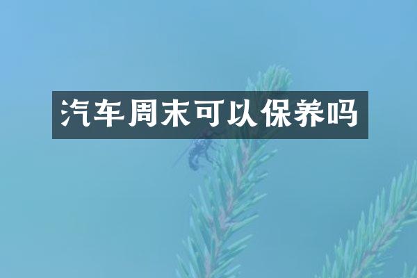 汽车周末可以保养吗