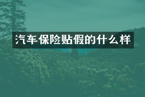 汽车保险贴假的什么样