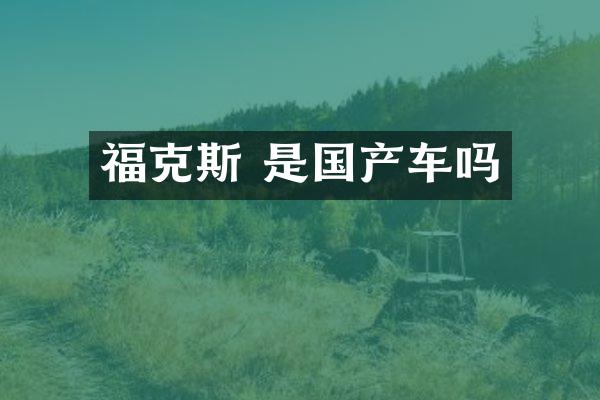 福克斯 是国产车吗