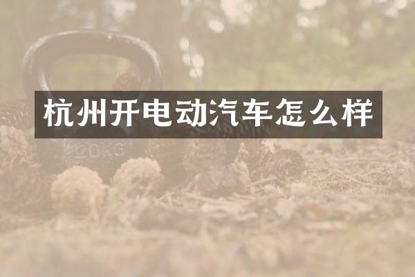 杭州开电动汽车怎么样