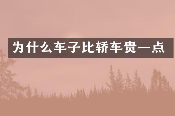 为什么车子比轿车贵一点
